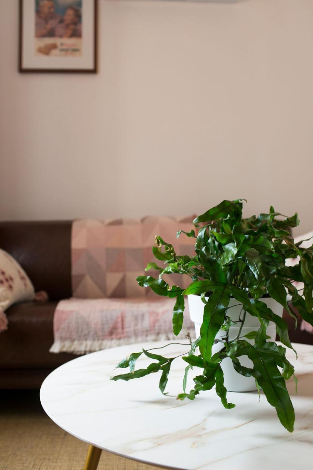 Morpeth William Arnott Boutique Accommodation חדר תמונה